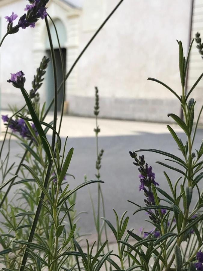 Fontevraud Maison De Ville Bnb Eksteriør bilde
