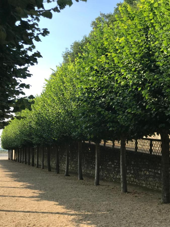 Fontevraud Maison De Ville Bnb Eksteriør bilde
